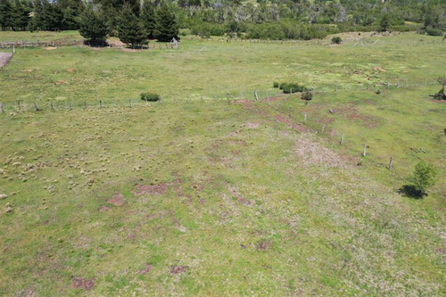 Terreno 5.000 M2 A Pocos Metros Pueblo Malalcahuello