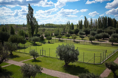Lot E27 Algodón Wine Estates