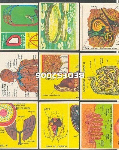 Figurinhas Do Álbum Ciências Editora Vecchi 1975 - Lote 1