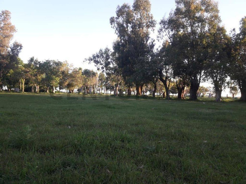 Campo En Ruta 2, Km71