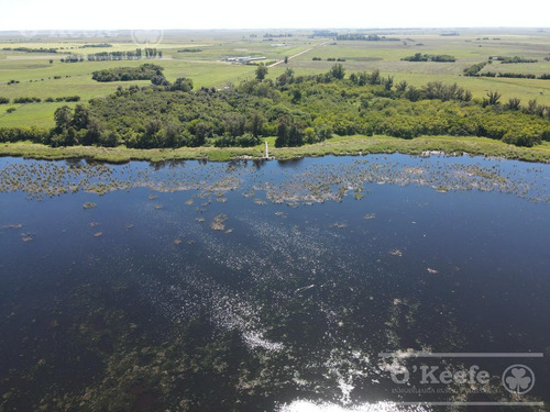 Imagen 25 de 25 de Campo En Venta En Lezama - 530 Has. Ideal Turismo Rural Con Laguna. Pesca - Retasado