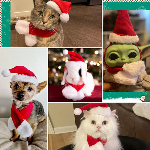Traje De Navidad Gorro De Papá Noel Gato Con Bufanda 4 Pieza