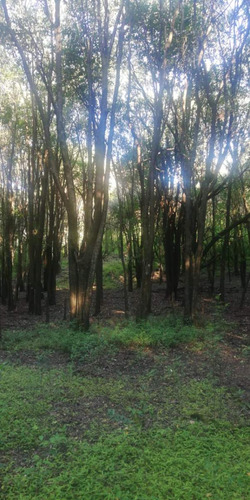Campo Villa Los Altos Río Ceballos Sierras Chicas Cordoba Escritura