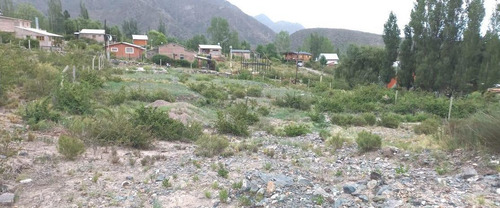 Lote En Venta Rincón De Los Valles - Las Vegas Proterillos Mendoza
