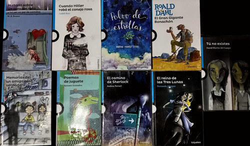 10 Libros Juvenil Loqueleo-santillana Partir De 12 Año Y Más (Usado)