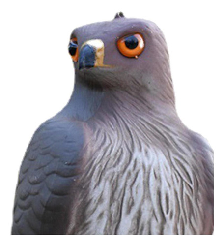 Shaoke Estatua De Águila De Simulación For Jardín,
