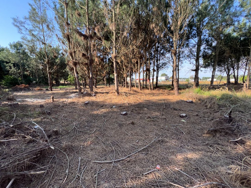 Imagen 11 de 18 de Venta Terreno Financiable Lomas De Solymar Canelones