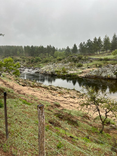 Terreno En  Los Espinillos - Potrero De Garay