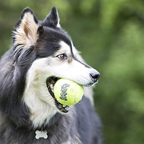 Kong Squeakair Pelota De Tenis Con Cuerda De Juguete Para Pe