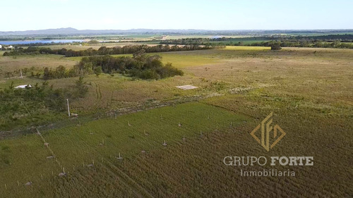 Imagen 12 de 29 de Lotes En Quillinzo
