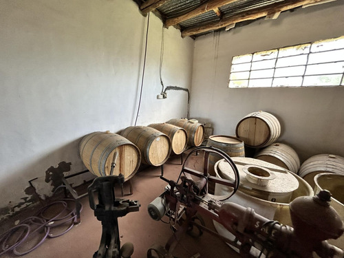 Finca, Bodega Artesanal Y Casa En San Rafael, Medoza.