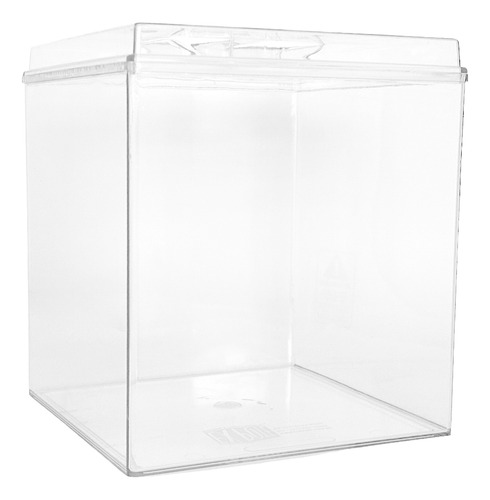 Kit 10 Potes Acrílico Quadrado C/ Tampa 7,4l + Conchas 100ml