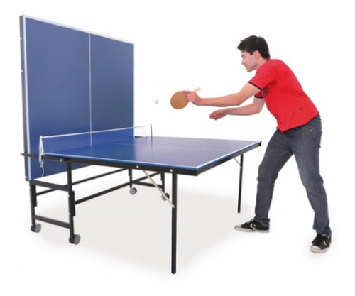 Mesa De Ping Pong Oficial Envío A Provincia