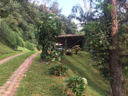 Imagem 28 de 30 de Sítio Á Venda Em Juquitiba-sp Ideal Para Renda! - 159 - 33954608