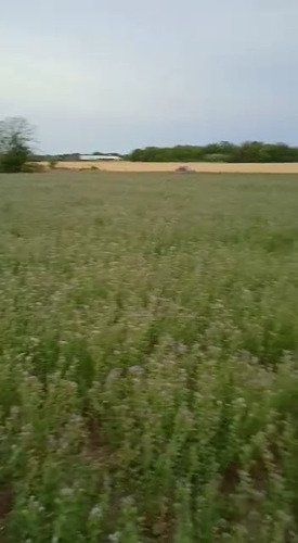 Imagen 2 de 3 de En Venta 6 Hectáreas En Paraná.zona El Brete