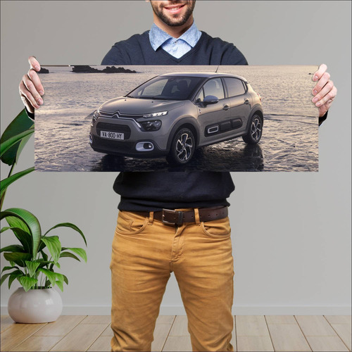 Cuadro 30x80cm Auto 2021 Citroen C3 Saint James 99