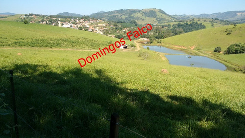 Venda - Fazenda - Zona Rural - Águas De Lindóia - Sp - D0336