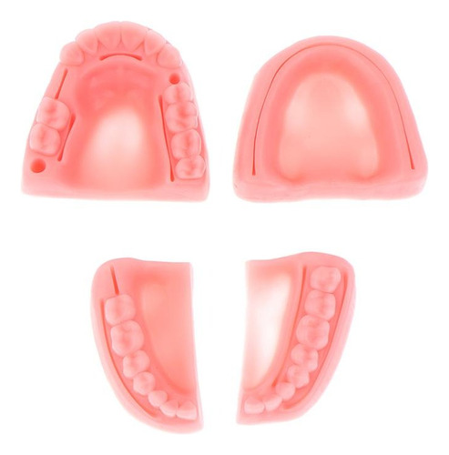 Simulación Dental Modelo De Sutura Oral Para Estudiante