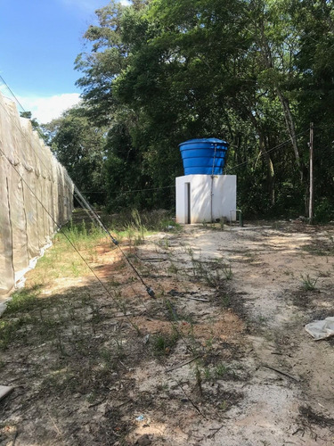 Chacara, 3.272 Mt, Com Duas Estufas E Poço Artesiano.