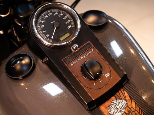 Harley-davidson Softail Fat Boy Custom 2008 - Impecável!