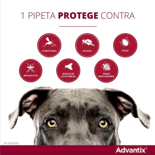 Pipeta Advantix de 4-10 kg contra pulgas e carrapatos