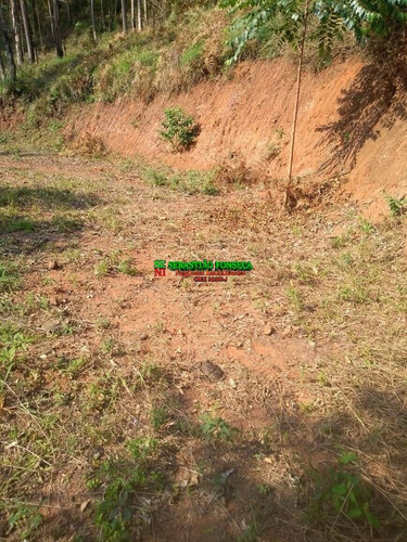 Imagem 6 de 7 de Sítio 30 Mil M² Em Monteiro Lobato - 1671