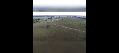 Imagem 26 de 30 de Fazenda 3366 Hectares, 5 Poços Artesianos, 4 Reservatórios De Agua, 42 Bebedouros De 12mil Litros, 80 Casinhas De Cocho Cobertas, 2 Corredores Centrai - Fa00043 - 69928786