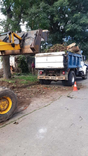 Imagen 8 de 10 de Alquiler. Trabajos Minicargador Bobcat. Retroexcavadora