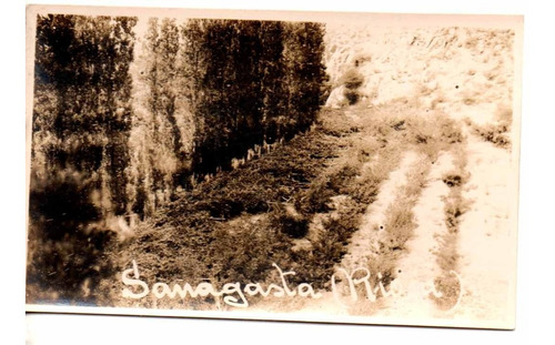 Postal De La Rioja - Sanagasta 2