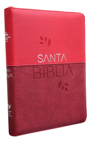 Santa Biblia Reina Valera 1960 Letra Gigante Roja C/cierre
