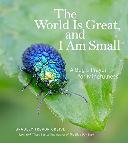 The World Is Great, And I Am Small A Bugs Prayer For Mindful