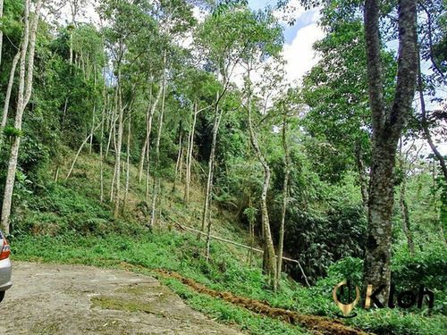 Imagem 2 de 7 de Terreno Condominio Bosque Do Ingelheim - 2944373063490