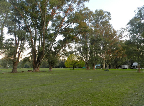 Imagen 9 de 12 de Terreno - Escobar