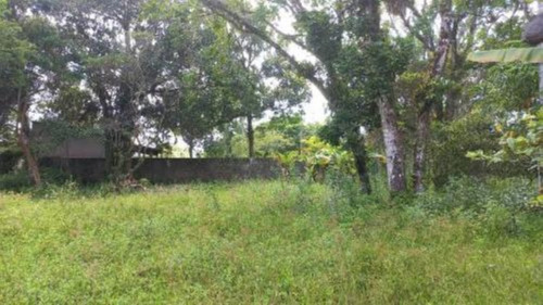Imagem 23 de 24 de Chácara Com Edícula E Com 2.100 M² De Área Total, Em Itanhaém, No Bairro Palmeiras Ref: 9496/ac