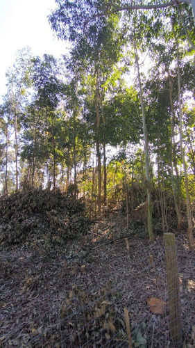 Imagen 16 de 24 de Terreno En Venta En Balneario Buenos Aires