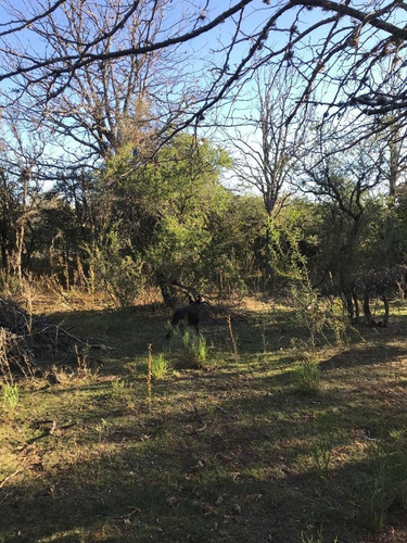 Imagen 4 de 7 de Campo En El Huayco Las Calles