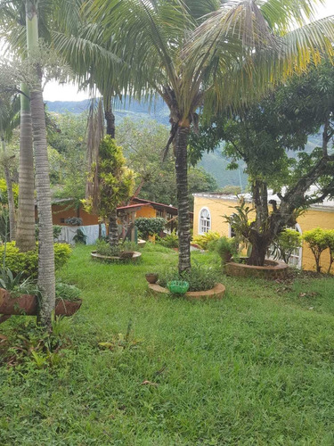 Imagen 12 de 12 de Venta De Finca En San Vicente De Dagua 601.