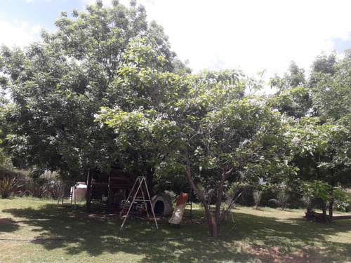 Casa A Terminar Parque Gorriti Casa De Casero 1899 Mts Lote Permuta Mar Del Plata