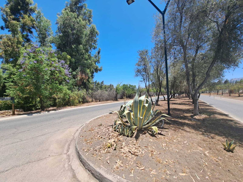 Imagen 11 de 11 de Hacienda De Chacabuco. Excelente Sitio En Venta