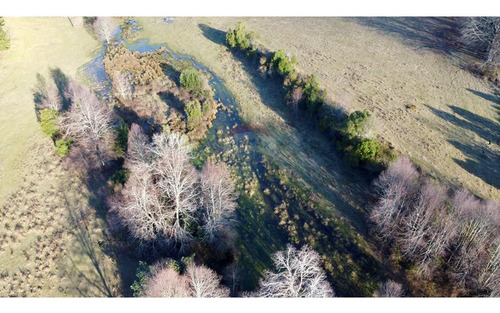 Field In Cunco Of 21.27 Ha. Incredible Opportunity