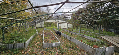 Campo En Falda Del Carmen