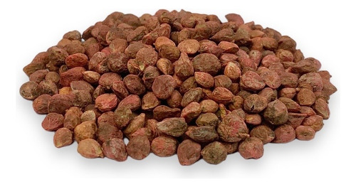 Semillas De Espinaca. Cultivo Agrícola