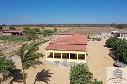 Imagem 11 de 18 de Granja A Venda Lagoa Nova