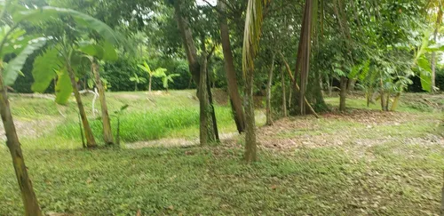 Finca En Venta A 15 Minutos Del Centro De Cerete