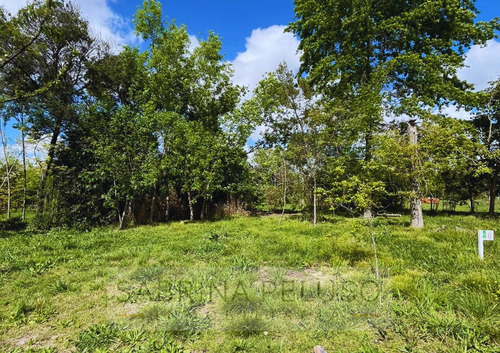 Venta Lote - Las Tres Marias - Moreno - Ruta 25