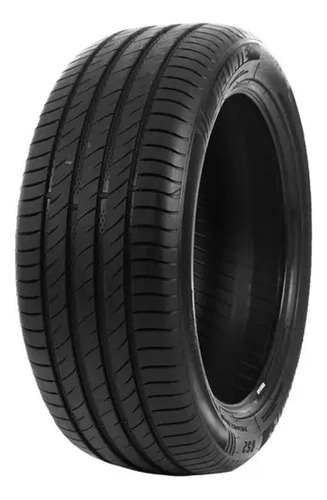 Pneu Novo Delinte 255/40/19 100w Ds2 Dot 1522 1-un W