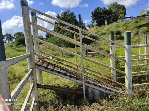 Imagen 10 de 28 de Venta De Hermosa Finca En El Estado Lara