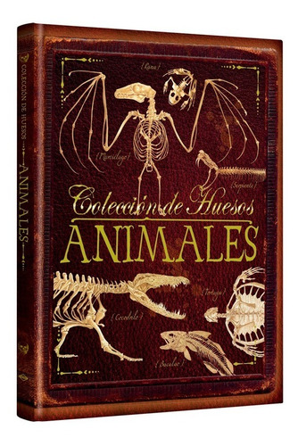 Libro Colección De Huesos De Animales
