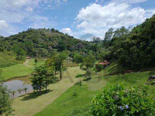 Imagem 5 de 30 de Um Belíssimo Recanto Com Casa No Alto Da Colina Com Vista Panorâmica!!! - 16 - 69196525