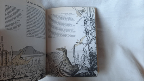 Imagen 6 de 10 de Guia De Campo De Los Dinosaurios Vvaa Edaf